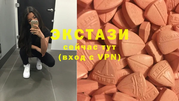PSILOCYBIN Алзамай