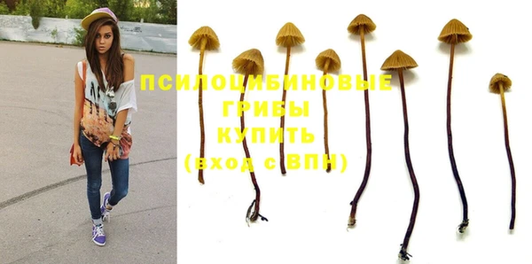 PSILOCYBIN Алзамай