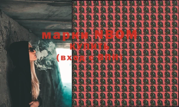 PSILOCYBIN Алзамай