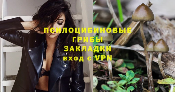 PSILOCYBIN Алзамай