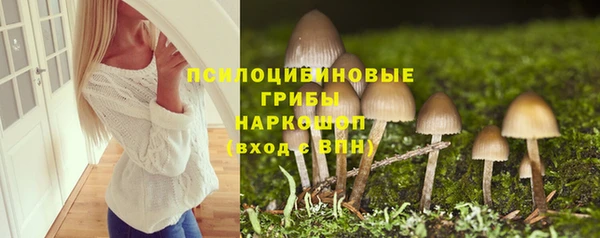 PSILOCYBIN Алзамай