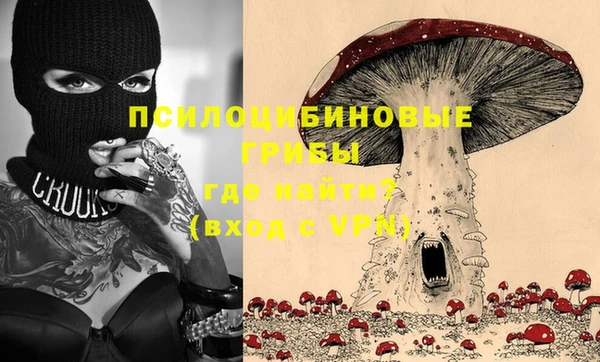 PSILOCYBIN Алексеевка